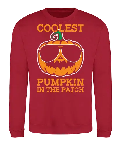 Coolest Pumpkin in the Patch orange - pumpkin, sunglasses, cool, text, cartoon, humor, halloween, illustration, autumn - Sweatshirt