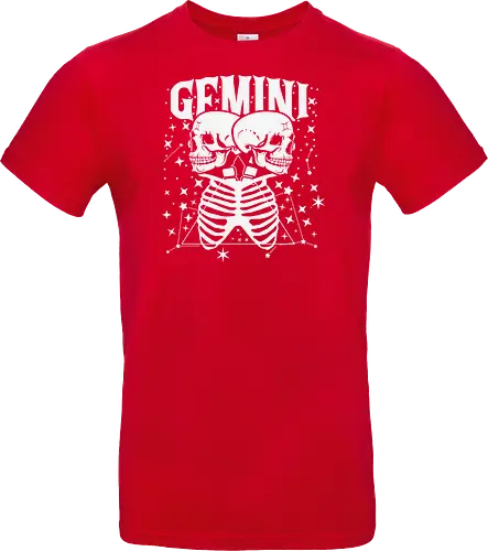 GEMINI