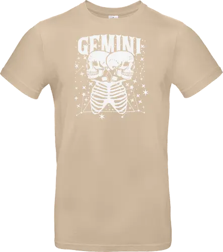 GEMINI