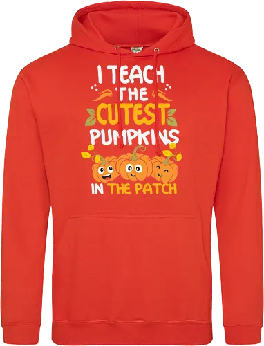 I teach the cutest pumpkins in the patch