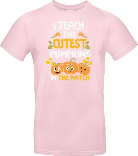 I teach the cutest pumpkins in the patch
