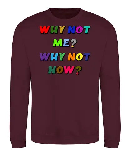 Why Not Me? Why Not Now? - funny, gaming, anime, nerd, television, joke, meme, vintage, funny quote, memes, funnytee, funny pop, humor, parody, geek - Sweatshirt