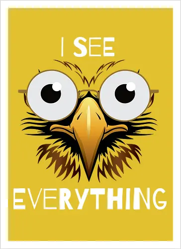 See Everything