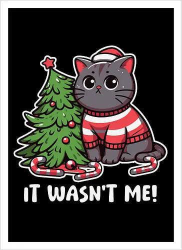 IT WASN'T ME!