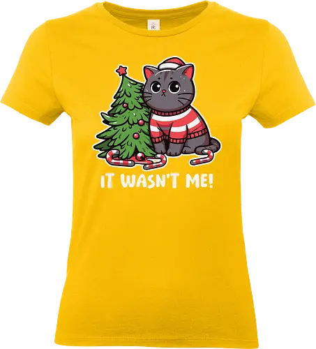 IT WASN'T ME! - cat, christmas tree, sweater, candy canes, humorous, cute, holiday, decorations, festive, innocent - Standard T-Shirt (Women)