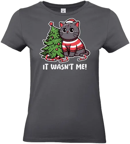 IT WASN'T ME! - cat, christmas tree, sweater, candy canes, humorous, cute, holiday, decorations, festive, innocent - Standard T-Shirt (Women)