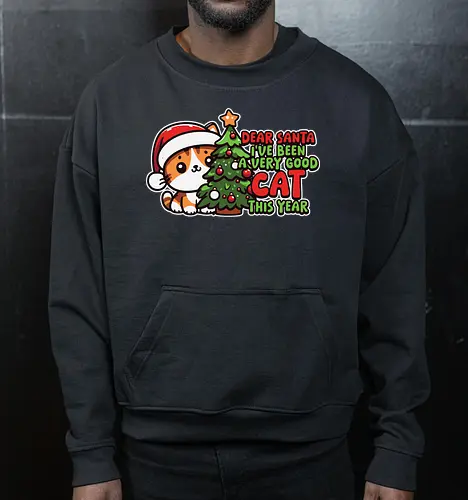 Dear Santa, I've been a very good cat this year.