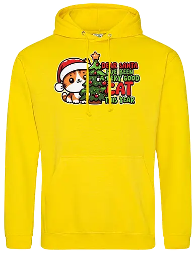 Dear Santa, I've been a very good cat this year.