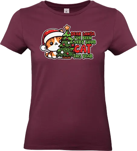 Dear Santa, I've been a very good cat this year.