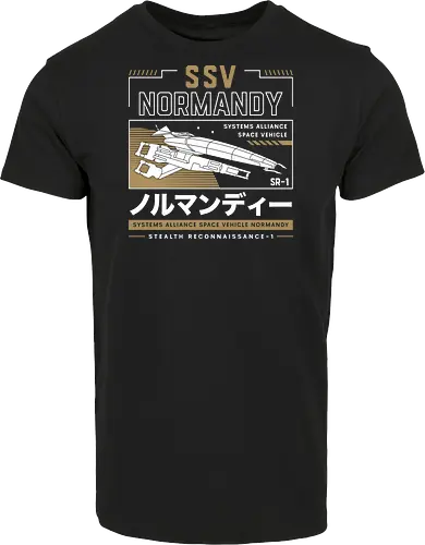 Ssv Normandy Aesthetic