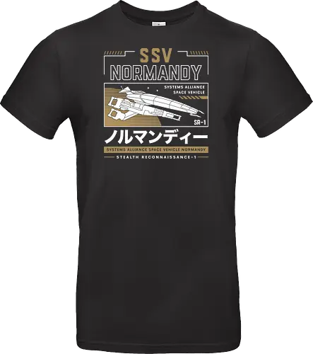 Ssv Normandy Aesthetic