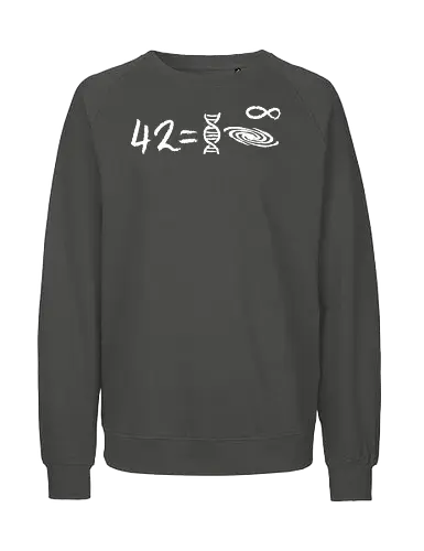 42 equation - equation, hitchhikers guide to the galaxy, galaxy, dont panic, marvin, science, mathematics - Fairtrade Sweatshirt