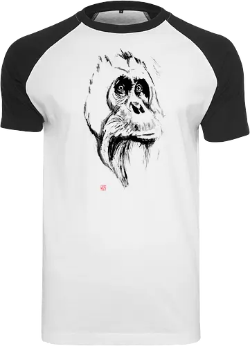 orangutan