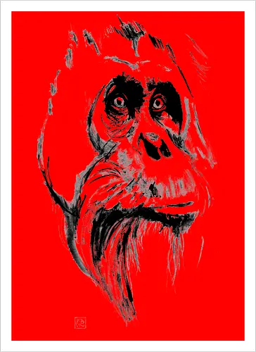 orangutan