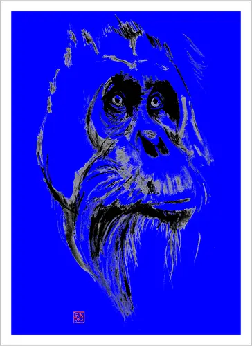 orangutan
