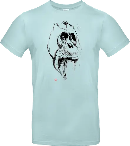 orangutan