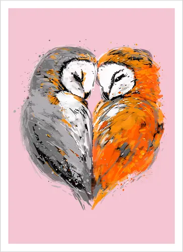 Owls in love