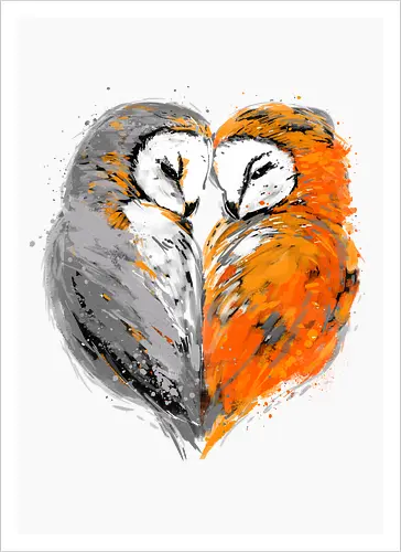 Owls in love