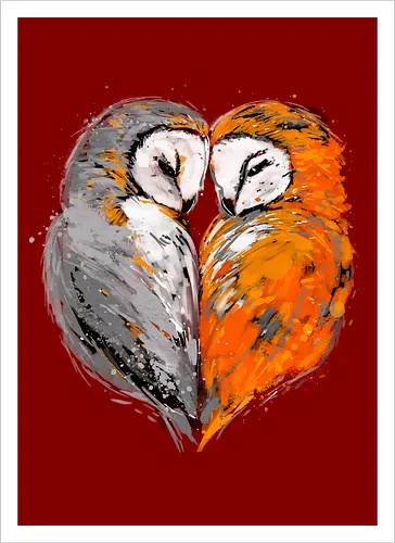 Owls in love