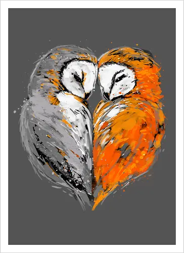 Owls in love