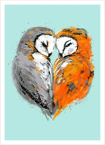 Owls in love
