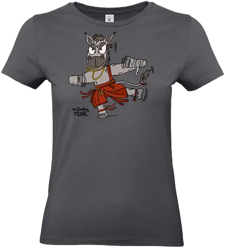 Der Esel (Mönch) (bunt) - comic, comics, comic style, comic stil, Pen and Paper, dungeons, dragons, esel, donkey, mönch, märchen, sage, zauberei - Standard T-Shirt (Women)