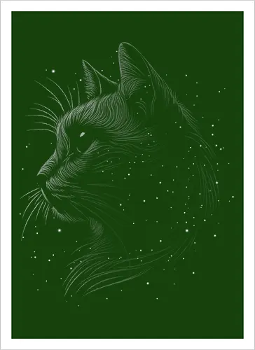 Space cat