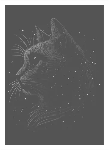 Space cat