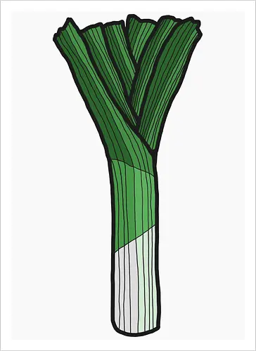 Lauch
