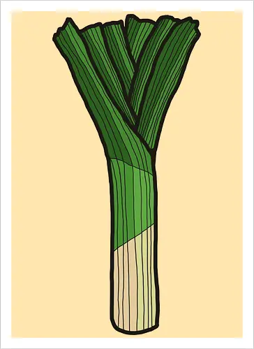 Lauch