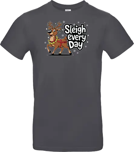 Sleigh every day