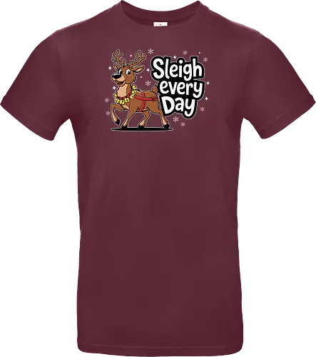 Sleigh every day