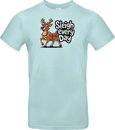 Sleigh every day