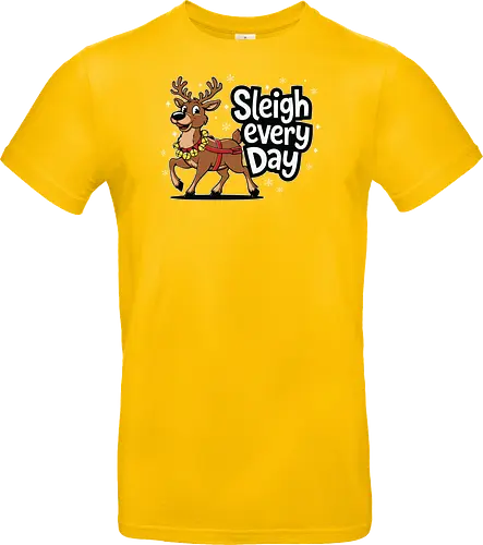 Sleigh every day