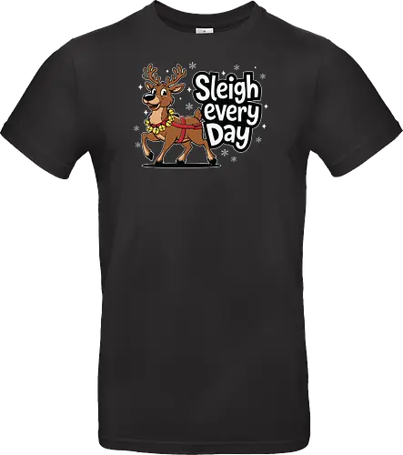 Sleigh every day