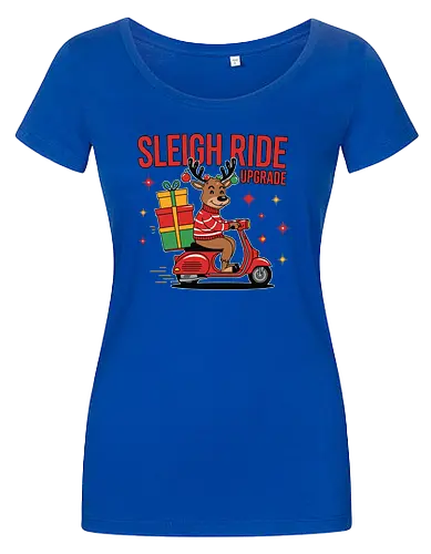 SLEIGH RIDE UPGRADE