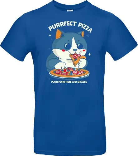 Pizza Cat