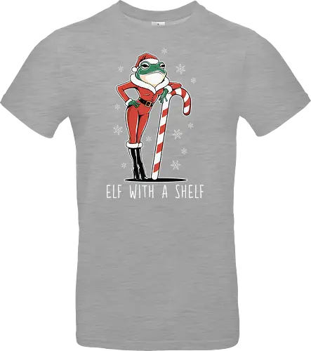 Elf with a Shelf