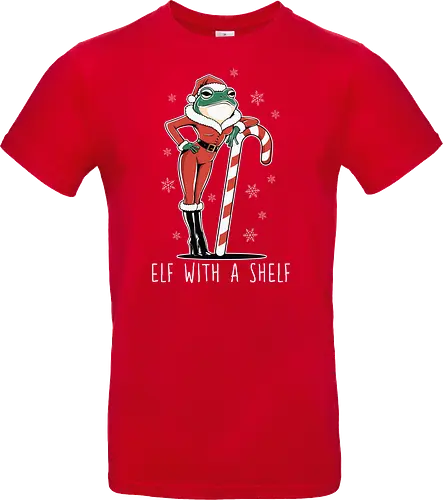 Elf with a Shelf