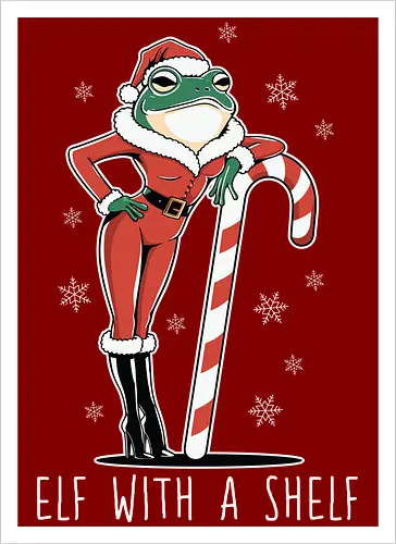 Elf with a Shelf