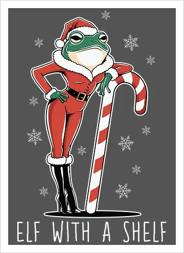 Elf with a Shelf