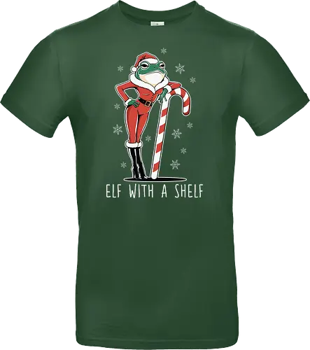 Elf with a Shelf