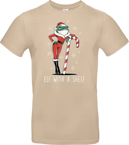Elf with a Shelf