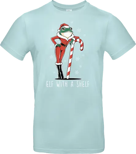 Elf with a Shelf