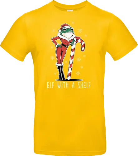 Elf with a Shelf