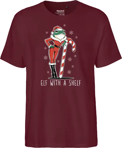 Elf with a Shelf