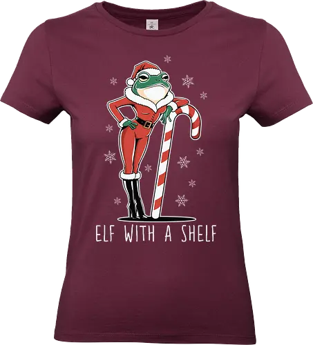 Elf with a Shelf