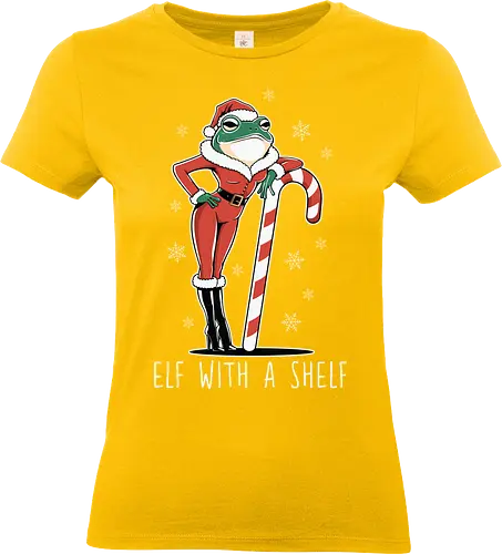 Elf with a Shelf