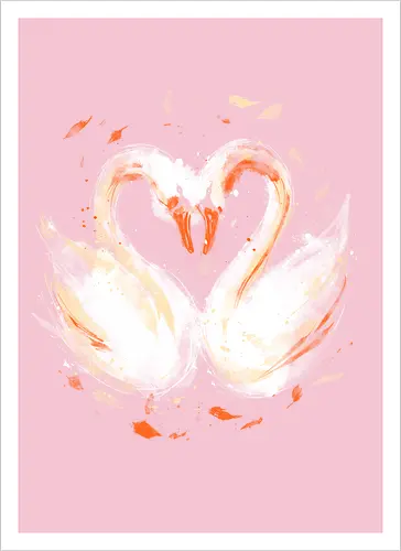 Swans in love