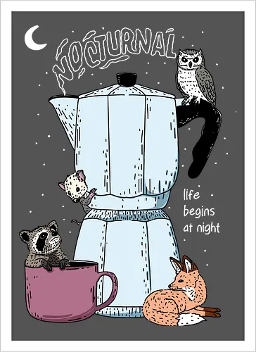 The Nocturnals Secret Power